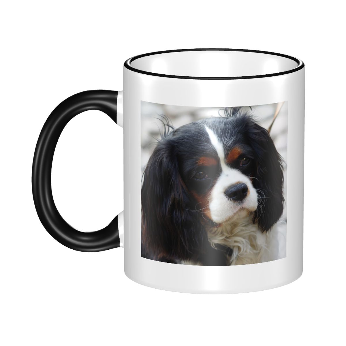 Tri Color Cavalier King Charle - Coffee Tea Photos recensie en prijs
