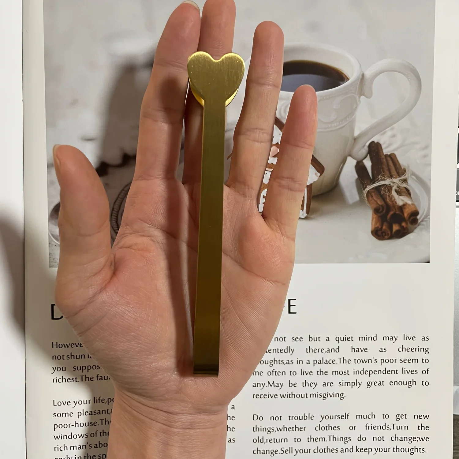 Roestvrijstalen hartvormige mi - Coffee Tea Day recensie en prijs